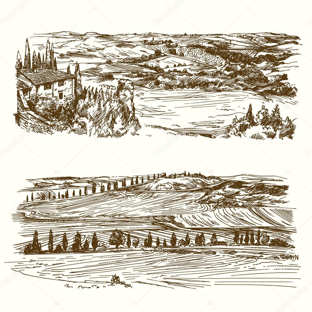 Vineyard. Agricultural landscape. Hand drawn collection.