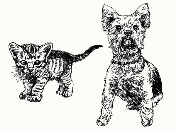 Gatinho desenhado à mão e terrier de yorkshire . — Vetor de Stock