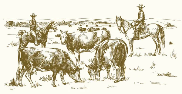 Passeio de gado por dois cowboys. Vacas pastando em pasto. Vector doente — Vetor de Stock