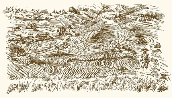 Terraços de arroz de Longsheng. Ilustração desenhada à mão . — Vetor de Stock