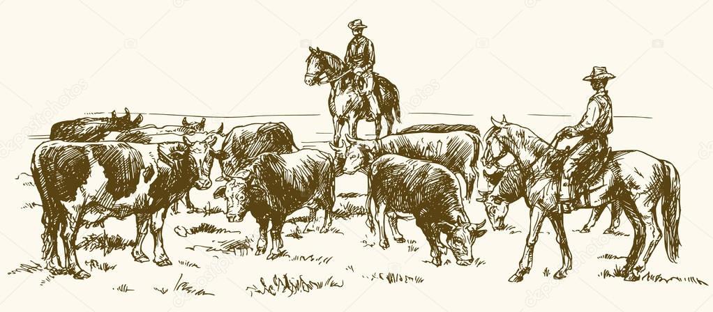 Cattle drive by two cowboys, hand drawn vector illustration.