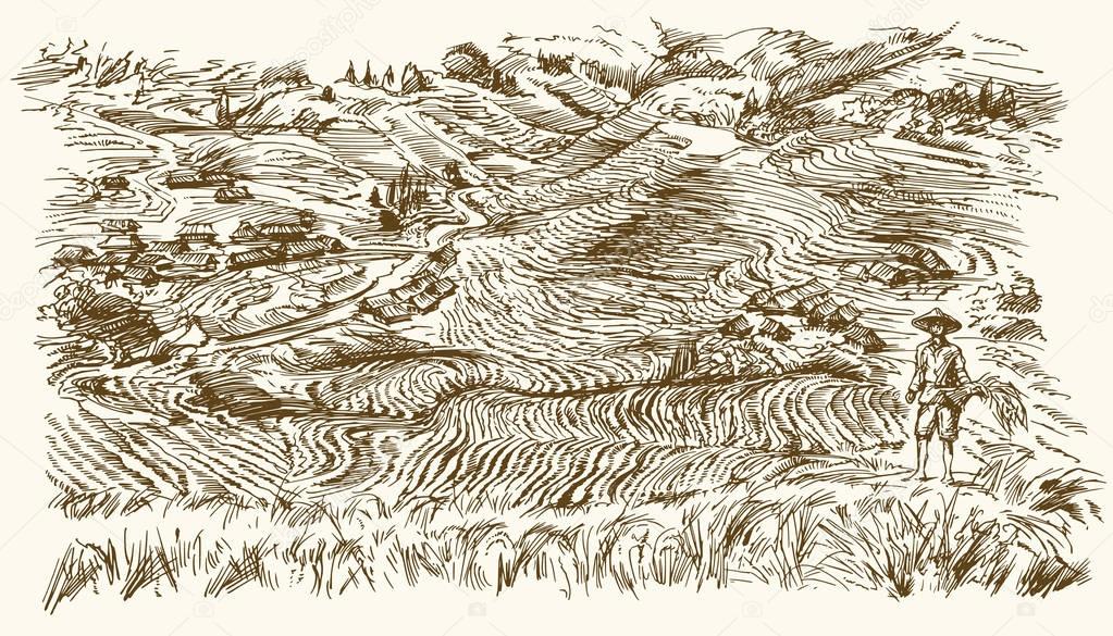 Rice terraces of Longsheng. Hand drawn illustration.