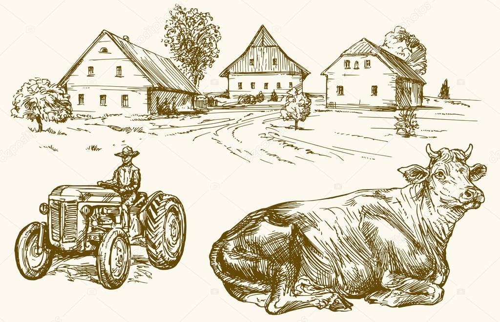 Farm, country village, tractor and cow. Hand drawn collection.