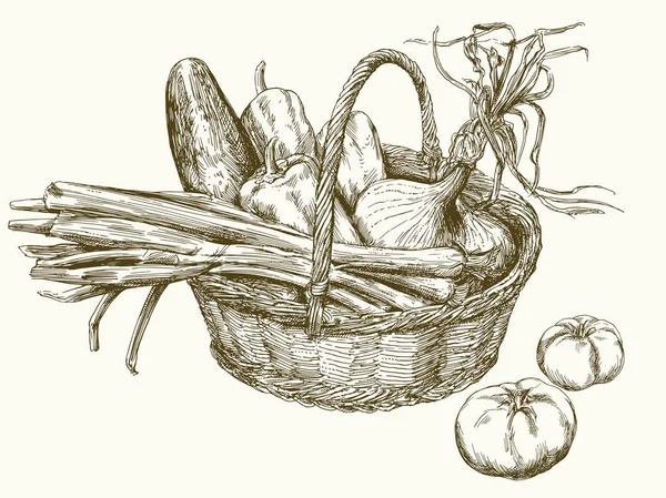 Cesta con verduras. — Vector de stock