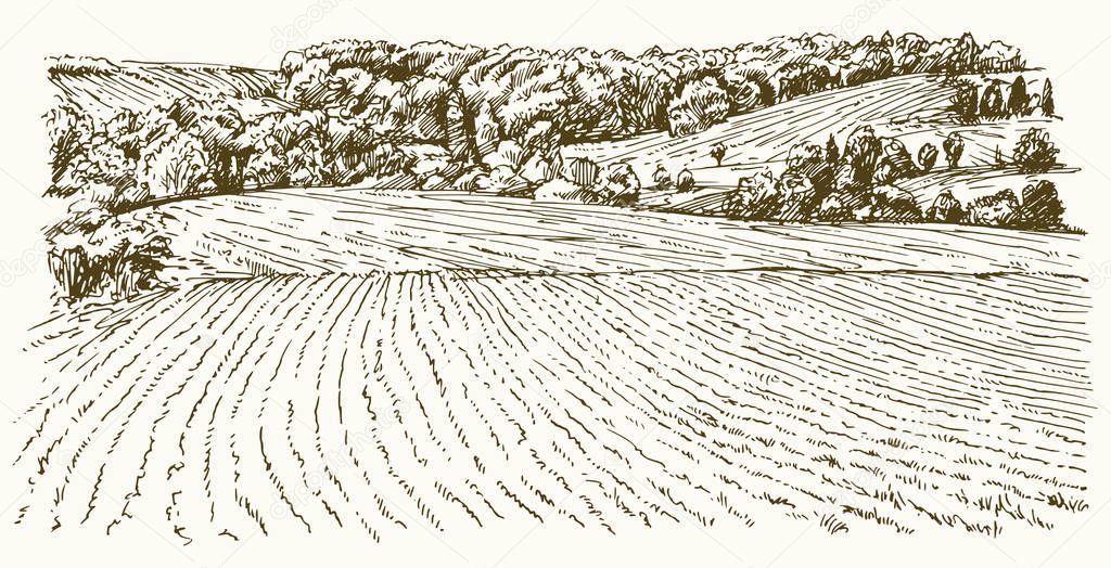 Agricultural landscape. Hand drawn illustration.