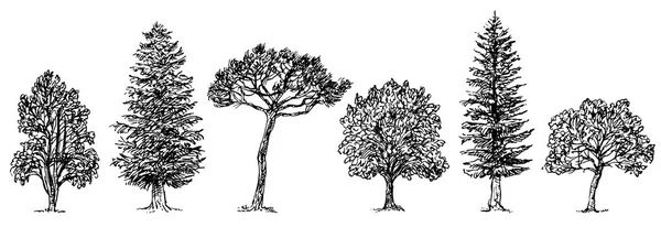 Collection de différents types d'arbres. Illustration vectorielle isol — Image vectorielle