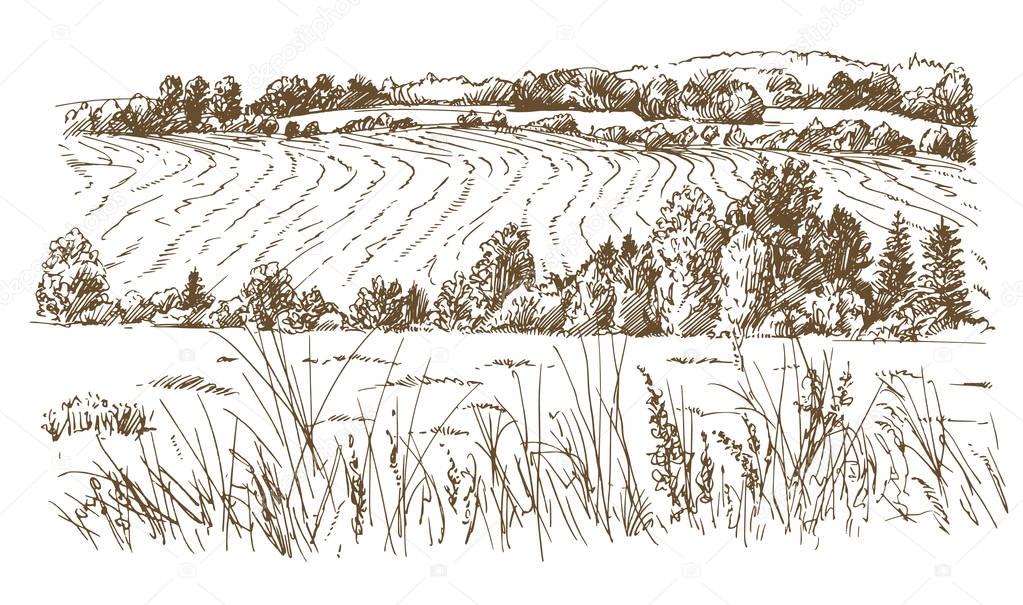 Agricultural landscape. Hand drawn illustration.
