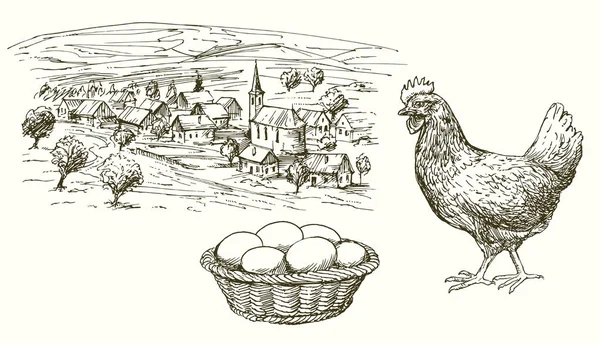 Poules, poulet, oeufs dans le panier, village rural . — Image vectorielle