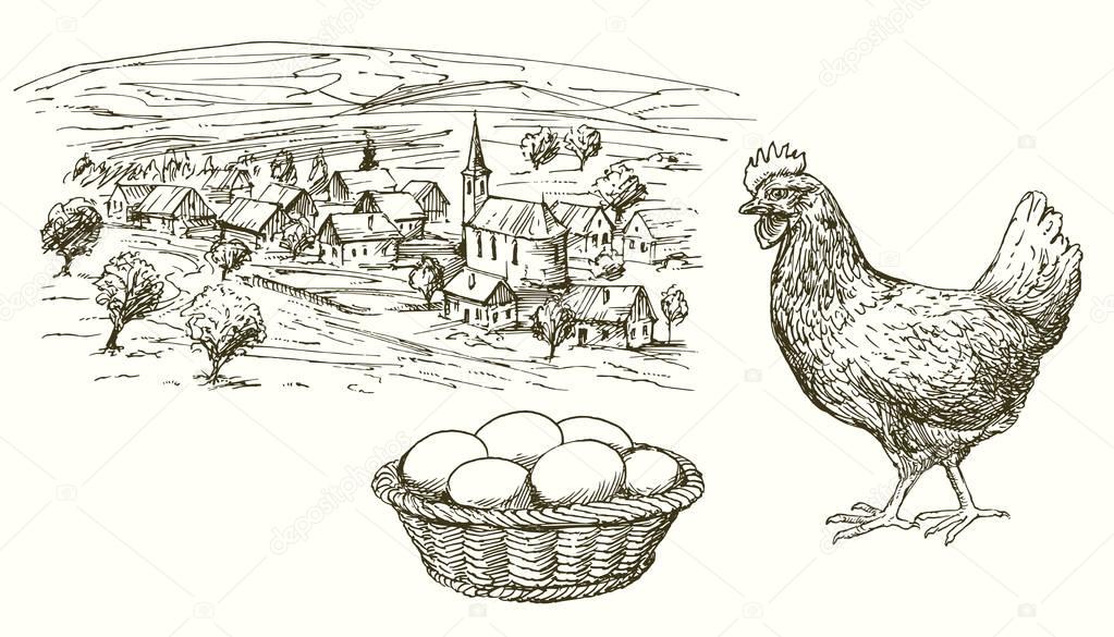 Hen, chicken, eggs in basket, rural village.