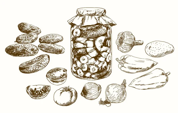 Pot aux légumes marinés. Set dessiné à la main . — Image vectorielle