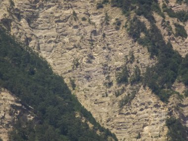 Dağlarda dinlenmek için yaz güneşli bir gün.