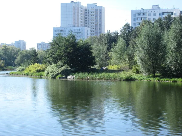 Літній міський парк зі ставком на сонячний день — стокове фото