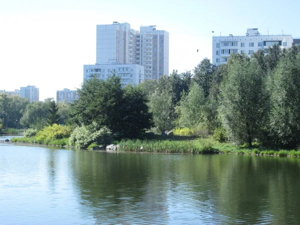 Güneşli bir günde göleti olan bir yaz kenti parkı