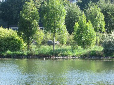 Güneşli bir günde göleti olan bir yaz kenti parkı
