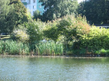 Güneşli bir günde göleti olan bir yaz kenti parkı