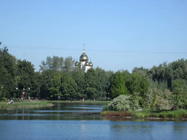 Летний городской парк с прудом в солнечный день — стоковое фото