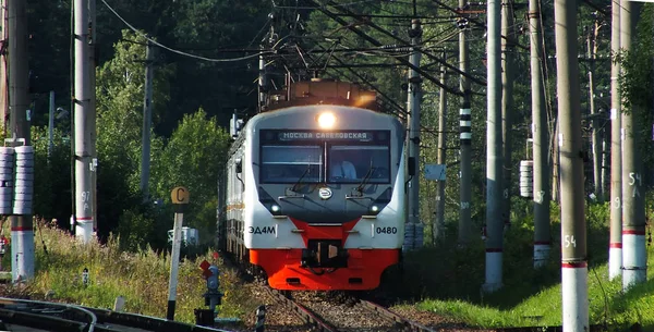 O trem de falcão chega à estação — Fotografia de Stock