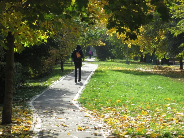 Un garçon court dans le parc automnal — Photo