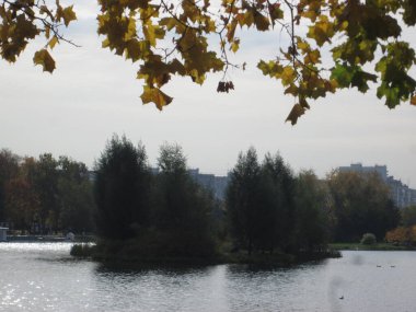 Göletli sonbahar parkı