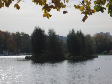 Göletli sonbahar parkı