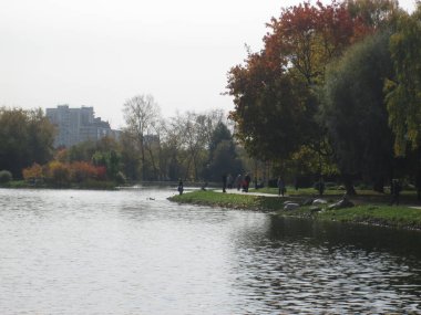 Göletli sonbahar parkı