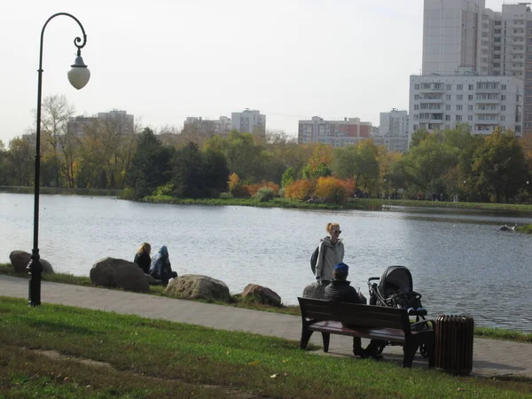 Parque de outono com uma lagoa — Fotografia de Stock