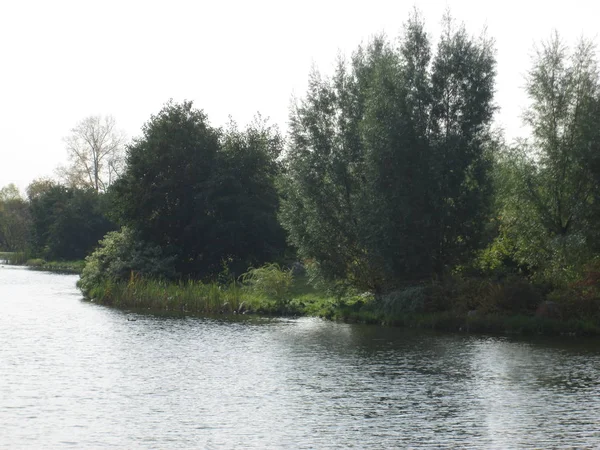 Göletli sonbahar parkı