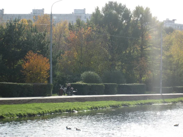 Parque de otoño con un estanque —  Fotos de Stock