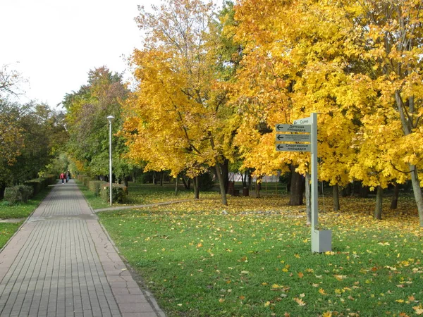 Sonbahar bir Şehir Parkı — Stok fotoğraf