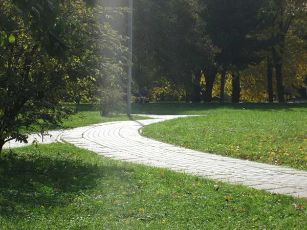 Yaz parkı yolu ve fener. — Stok fotoğraf