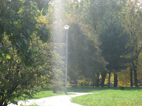 Sentier et lanterne du parc d'été — Photo