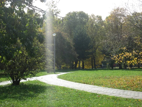 Zomerparkpad en lantaarn — Stockfoto