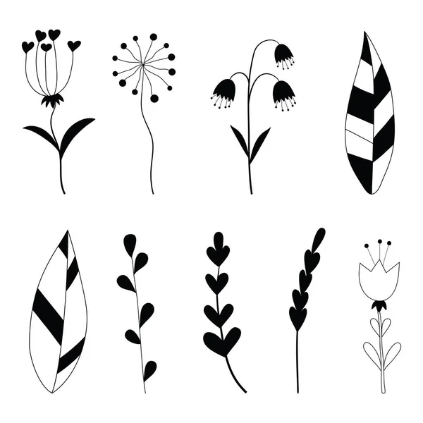 Elementos florales y hojas dibujados a mano — Vector de stock