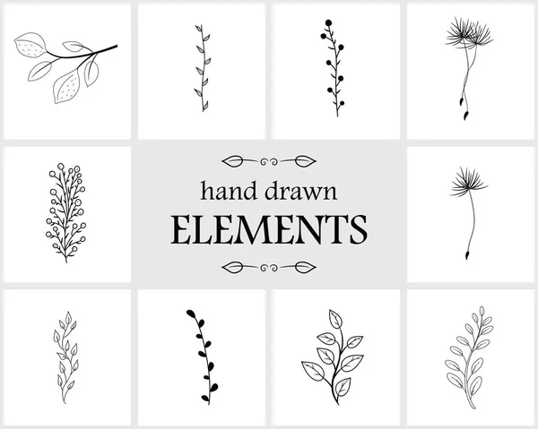 Hand drawn floral logo elements and icons — Stock Vector