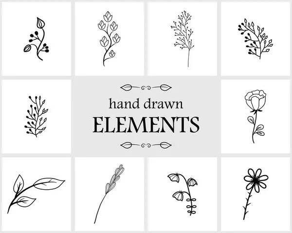Elementos e iconos del logotipo floral dibujado a mano — Vector de stock