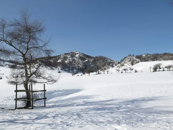 Mont gorbea en hiver — Photo