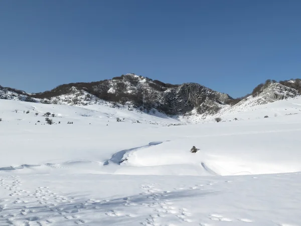 Mount gorbea kışın — Stok fotoğraf