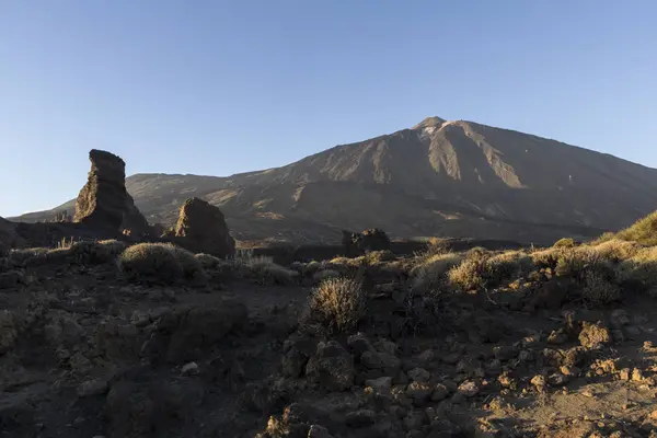 Doğada — Stok fotoğraf