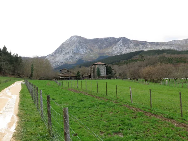 Paesaggio di montagne — Foto Stock