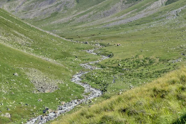 Dağlarda — Stok fotoğraf