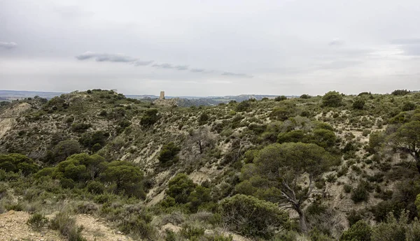 No deserto — Fotografia de Stock