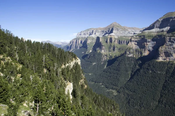 In den Bergen — Stockfoto