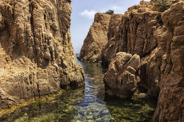 海岸で — ストック写真