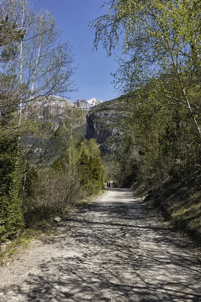 Krajina Hor Severu Španělska — Stock fotografie