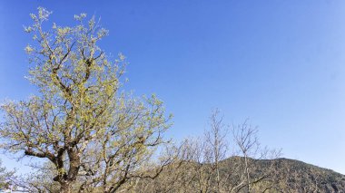 manzara Dağları'nın Kuzey İspanya