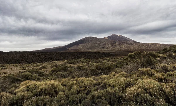 Vulkanisch Landschap Tenerife — Stockfoto
