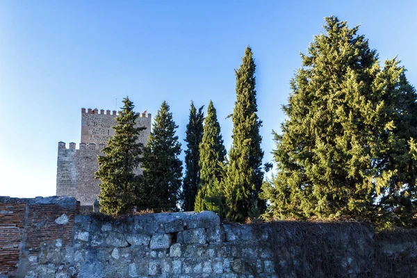 Kastély Ciudad Rodrigo — Stock Fotó