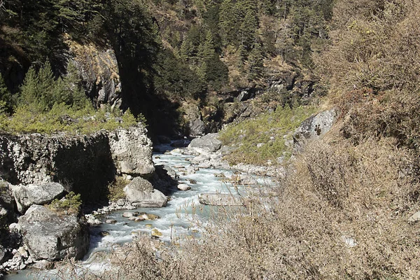 Река Гималаях — стоковое фото