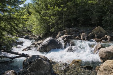 Dağlarda nehir peyzaj