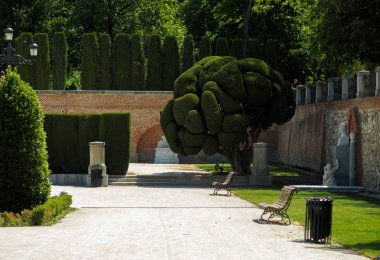 Madrid 'in ortasındaki bahçe.